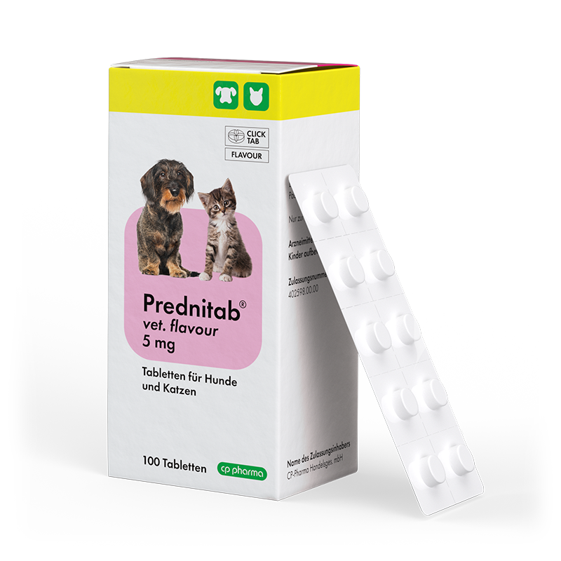 Prednitab vet. flavour 5 mg, 100 Tabletten