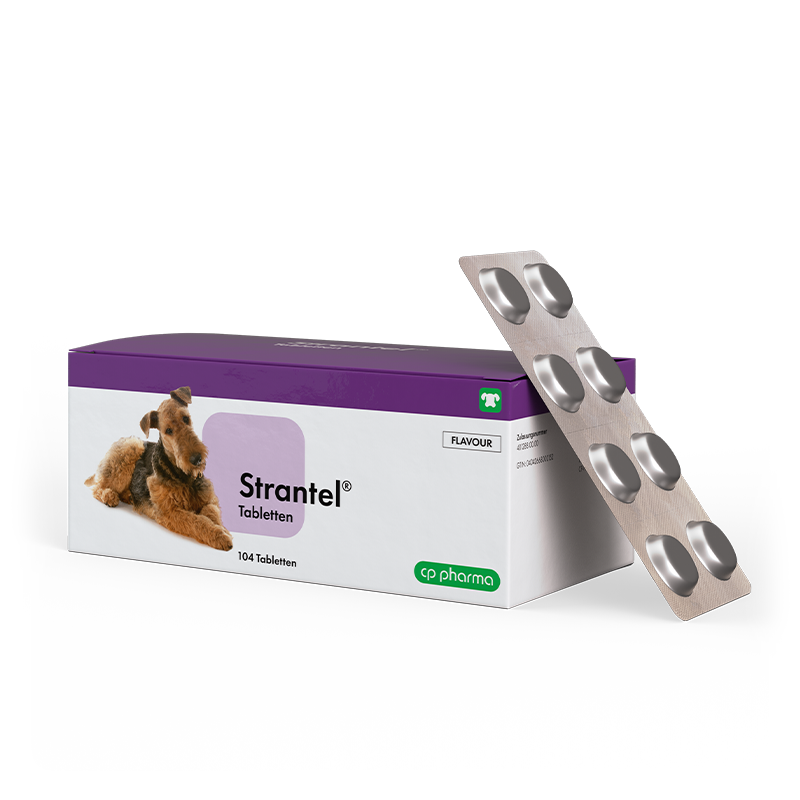 Strantel für Hunde, 104 Tabletten