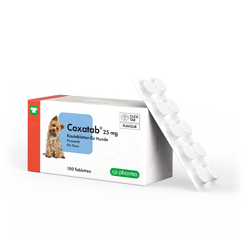 Coxatab 25 mg Kautabletten für Hunde, 100 Kautabletten