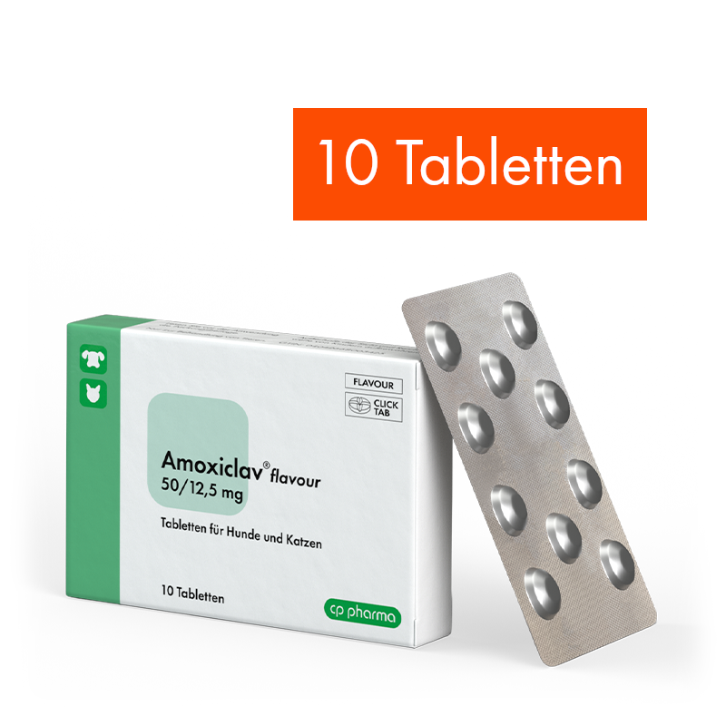 Amoxiclav flavour 50/12,5 mg, 10 Tabletten