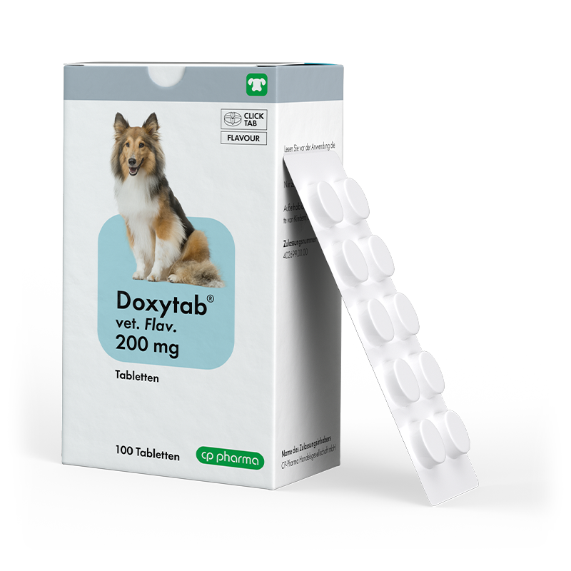 Doxytab vet. flav. 200 mg für Hunde, 100 Tabl.