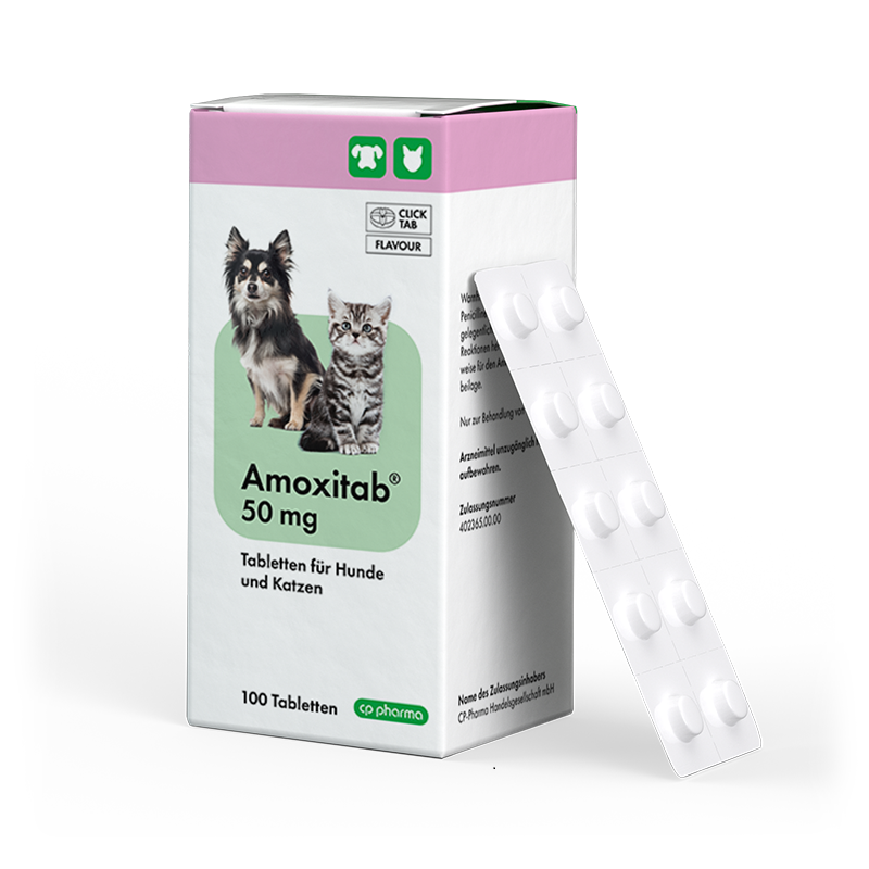 Amoxitab 50 mg, 100 Tabletten für Hunde und Katzen