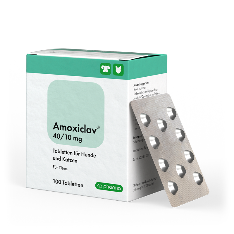 Amoxiclav 40/10 mg, 100 Tabletten