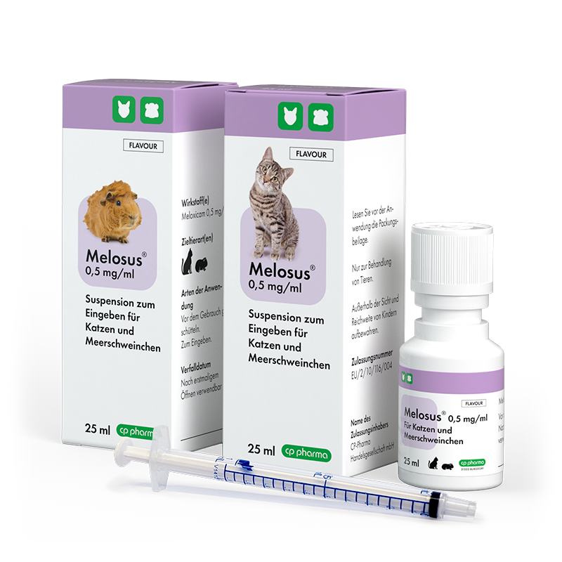 Melosus 0,5 mg/ml für Katzen und Meerschweinchen, 25 ml