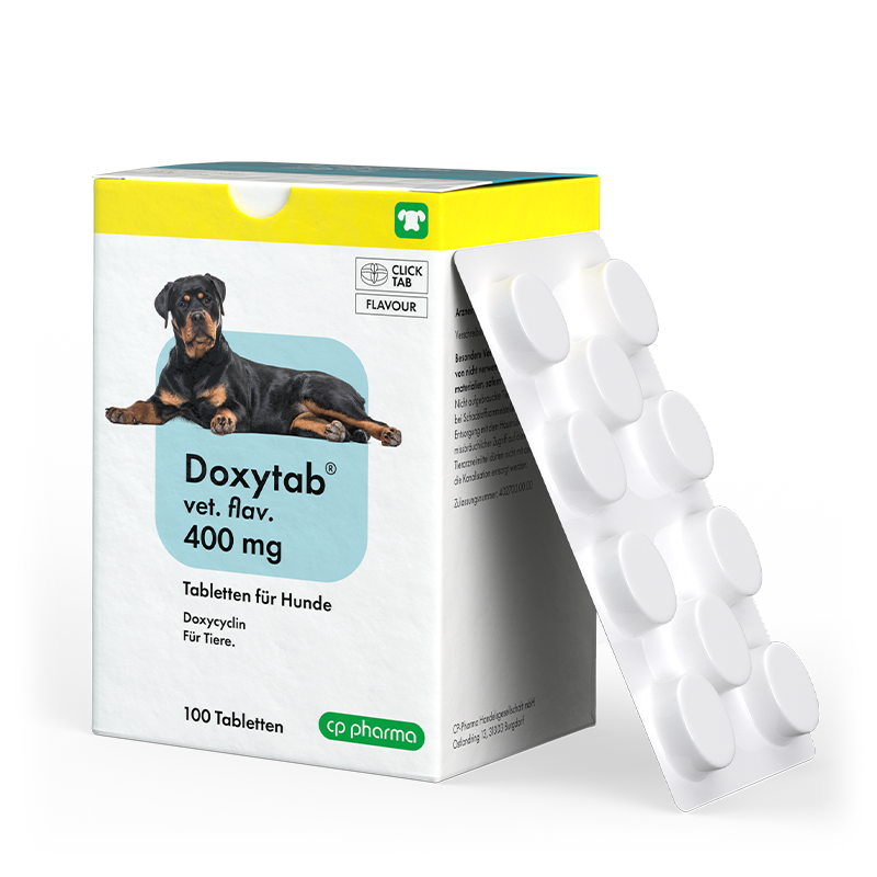 Doxytab vet. flav. 400 mg für Hunde, 100 Tabl.