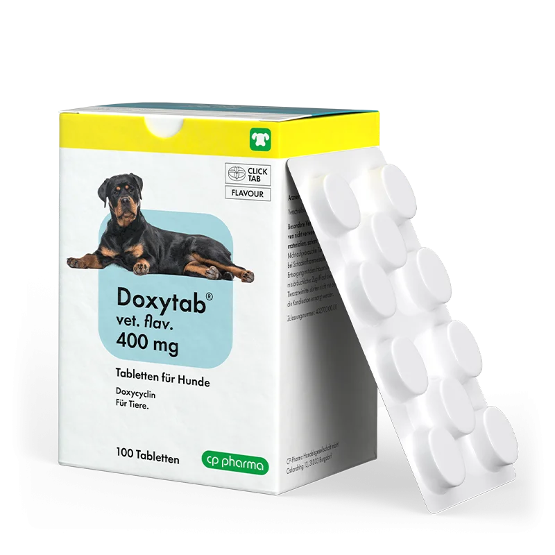 Doxytab vet. flav. 400 mg für Hunde, 100 Tabl.