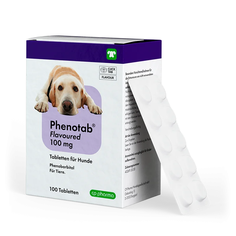 Phenotab flavoured 100 mg, 100 Tabletten