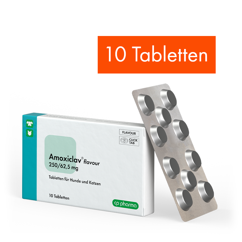Amoxiclav flavour 250/62,5 mg, 10 Tabletten