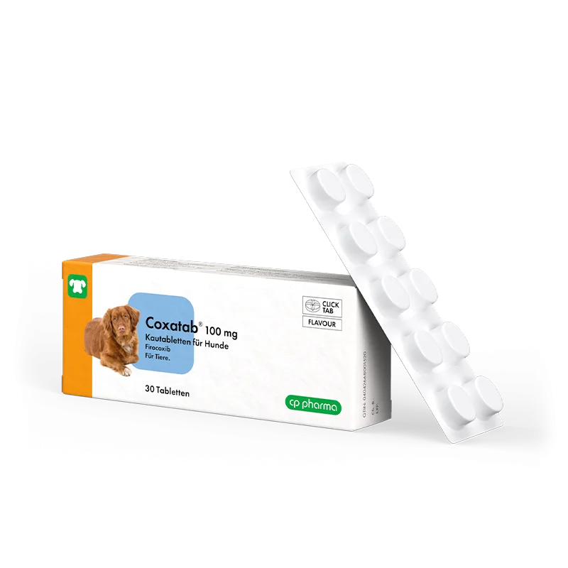 Coxatab 100 mg Kautabletten für Hunde, 30 Kautabletten