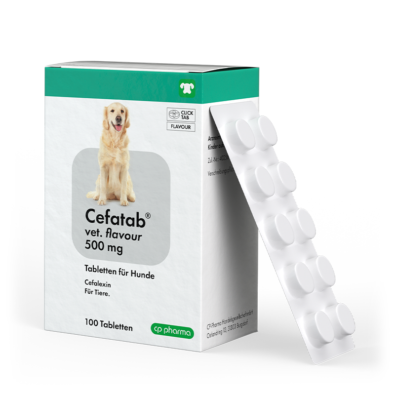 Cefatab vet. flavour 500 mg Tabletten für Hunde, 100 Tabletten