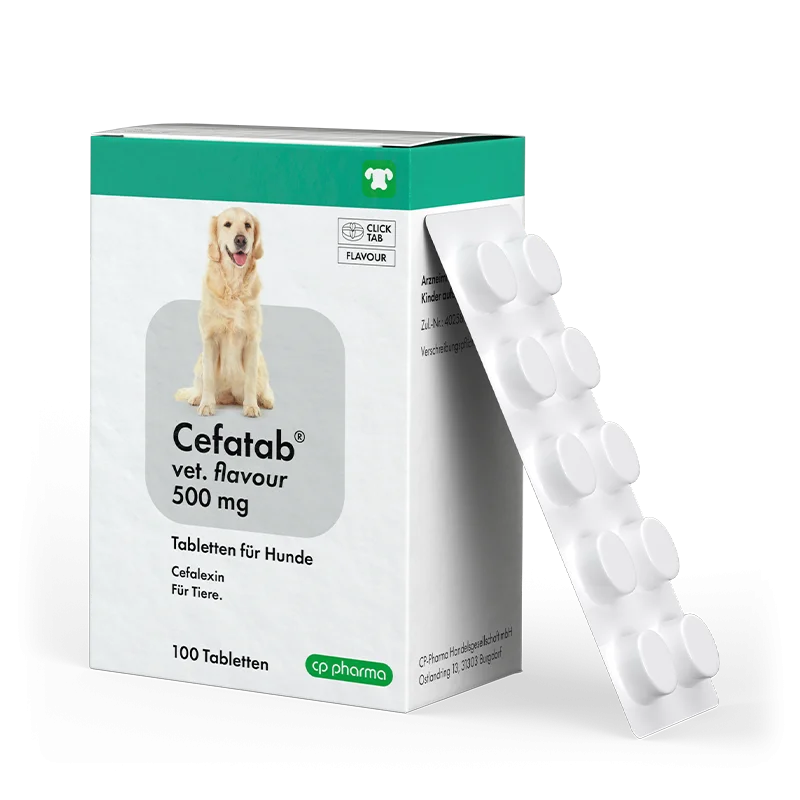 Cefatab vet. flavour 500 mg Tabletten für Hunde, 100 Tabletten