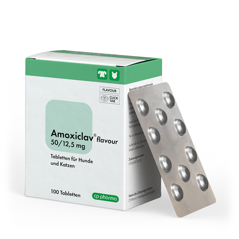 Amoxiclav flavour 50/12,5 mg, 100 Tabletten
