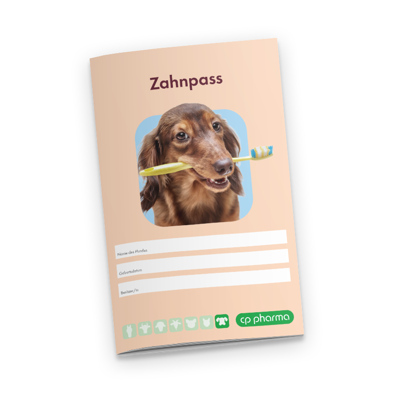 Zahnpass für Hunde, 20 Stück