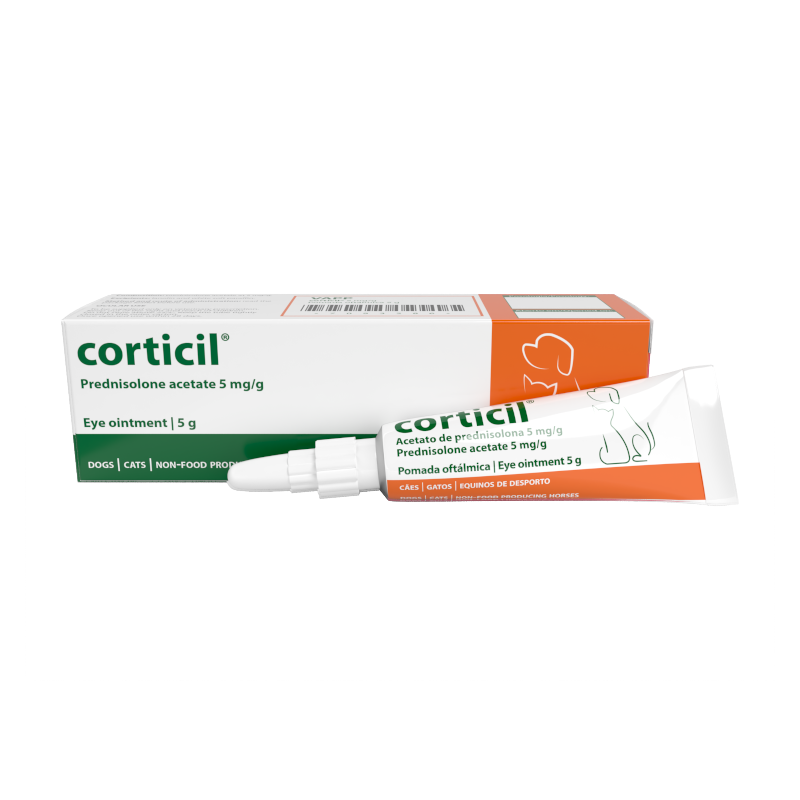 Corticil 5 mg/g Eye ointment, 5 g