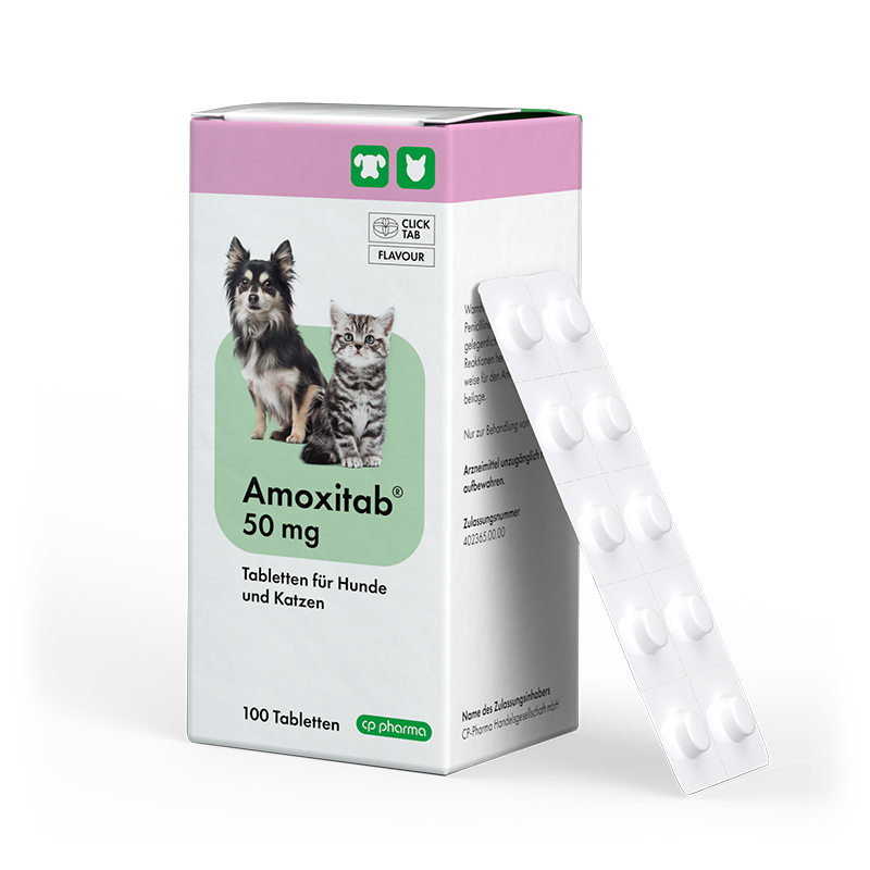 Amoxitab 50 mg, 100 Tabletten für Hunde und Katzen