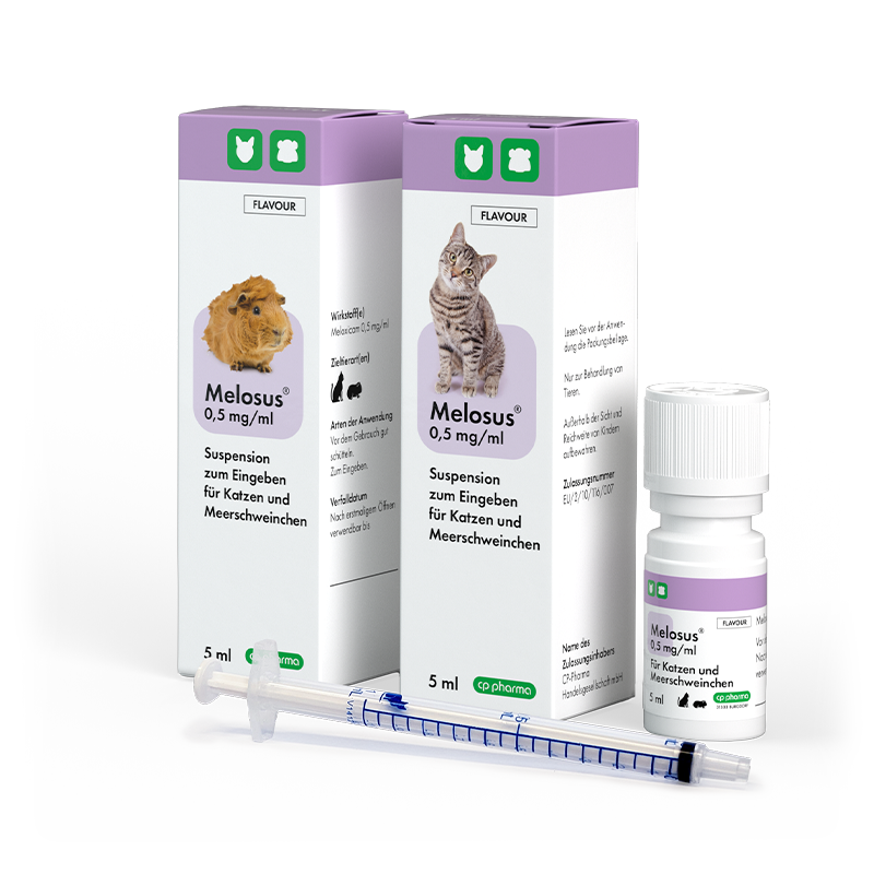Melosus 0,5 mg/ml für Katzen und Meerschweinchen, 5 ml