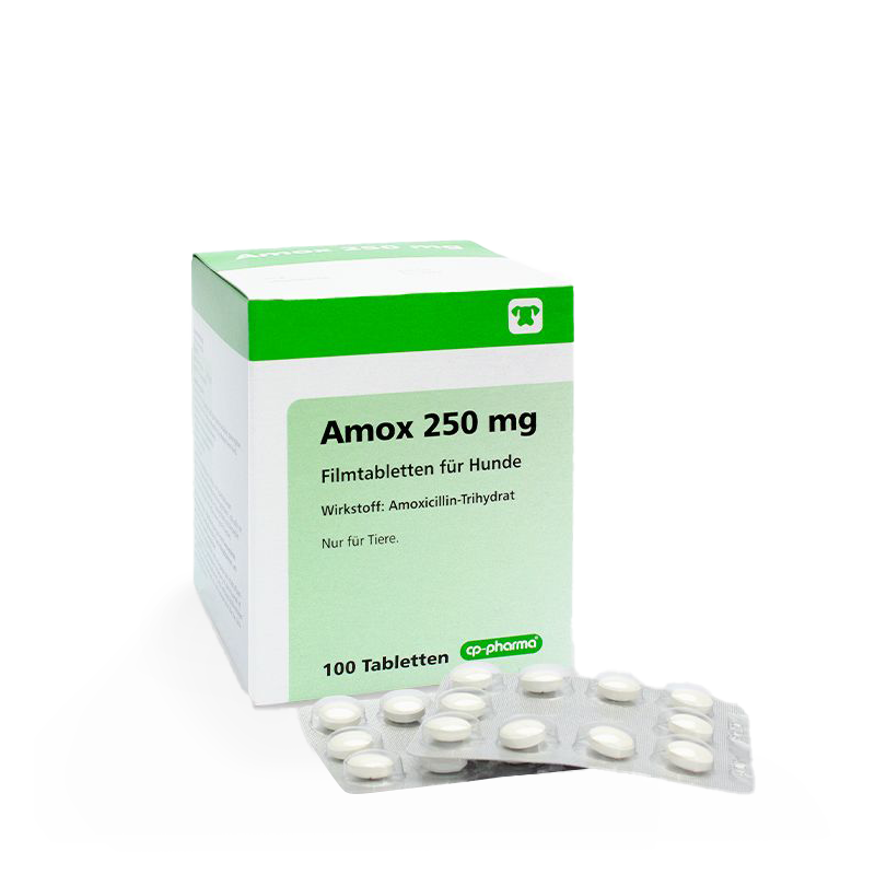 Amox 250 mg Filmtabletten, 100 Tabl.