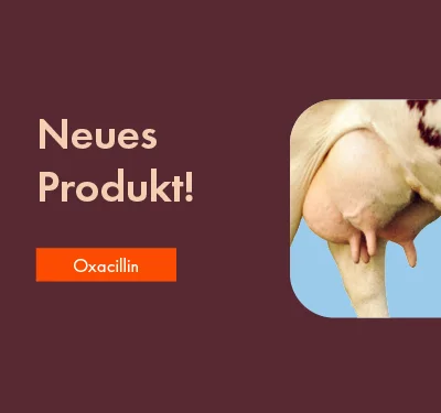 Produkt mit Oxacillin | → Fachinfo anfordern