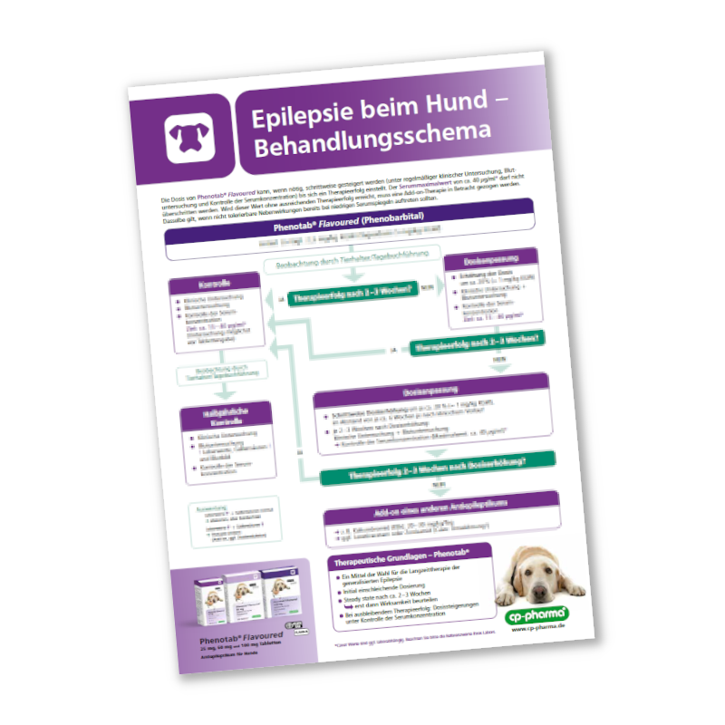 Phenotab Diagnose- und Therapieschema (Epilepsie)