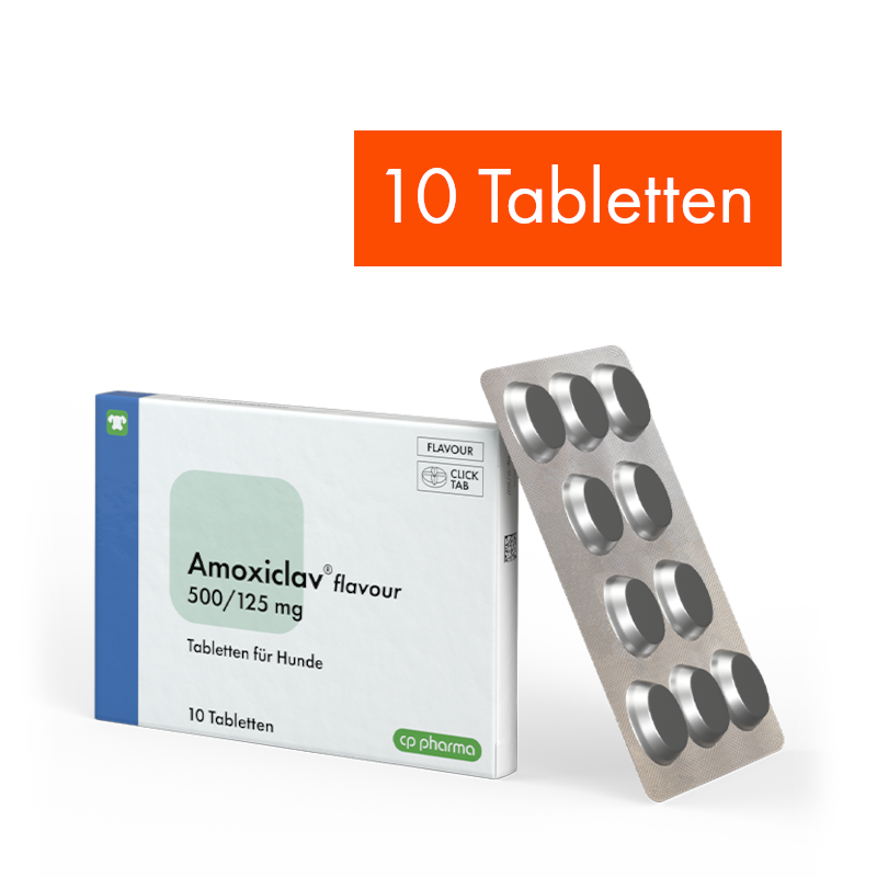 Amoxiclav flavour 500/125 mg, 10 Tabletten
