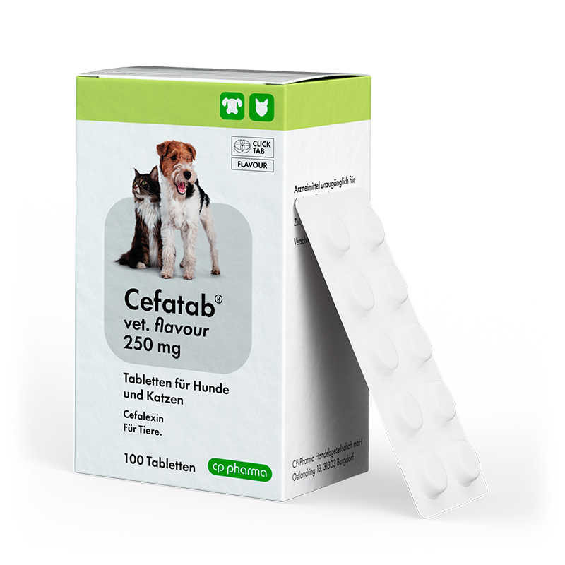 Cefatab vet. flavour 250 mg Tabletten für Hunde und Katzen, 100 Tabletten