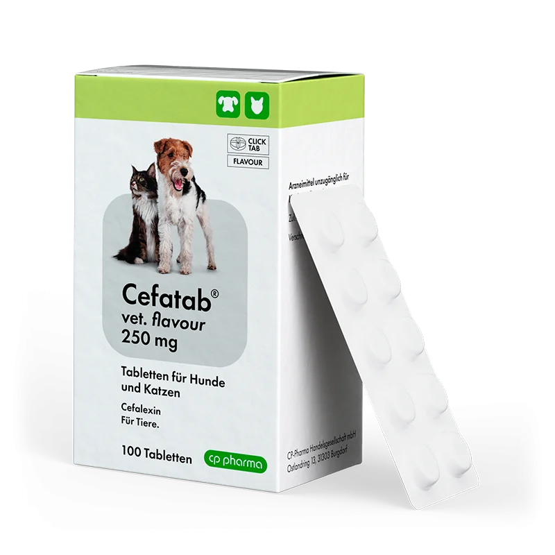Cefatab vet. flavour 250 mg Tabletten für Hunde und Katzen, 100 Tabletten