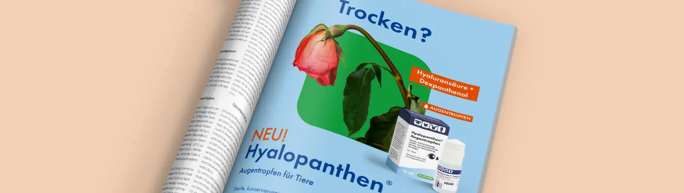 Bewährte Qualität in neuem Look