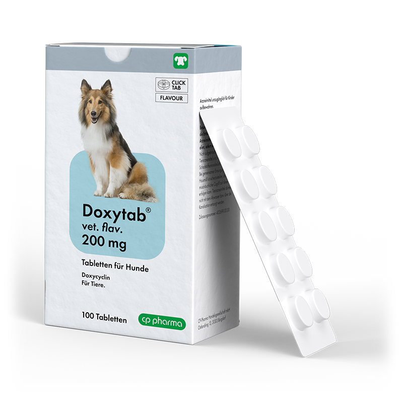 Doxytab vet. flav. 200 mg für Hunde, 100 Tabl.