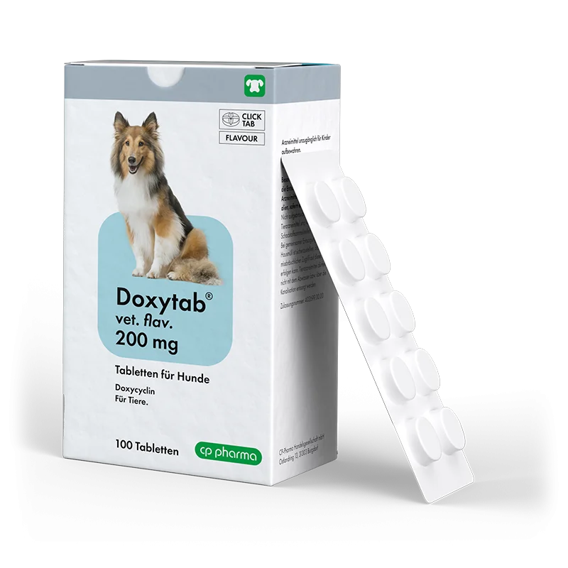 Doxytab vet. flav. 200 mg für Hunde, 100 Tabl.