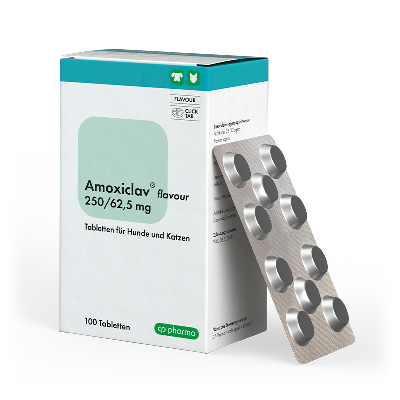 Amoxiclav flavour 250/62,5 mg, 100 Tabletten