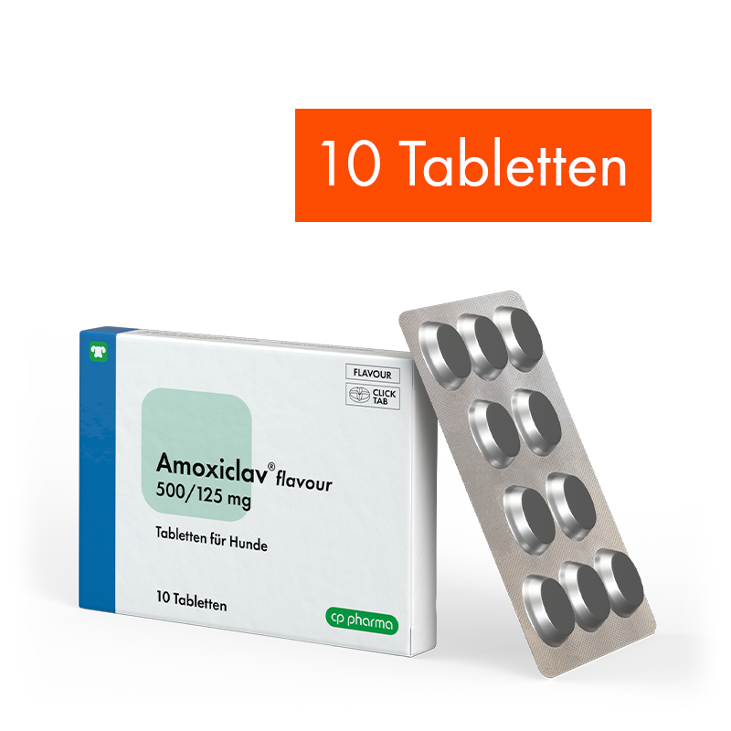 Amoxiclav flavour 500/125 mg, 10 Tabletten