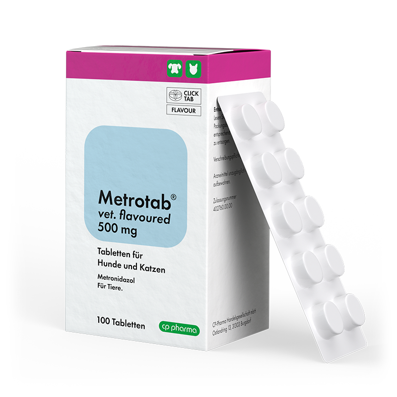 Metrotab vet. flavoured 500 mg, 100 Tabl.