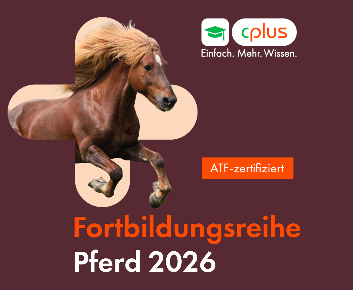 CPlus Pferd 2026