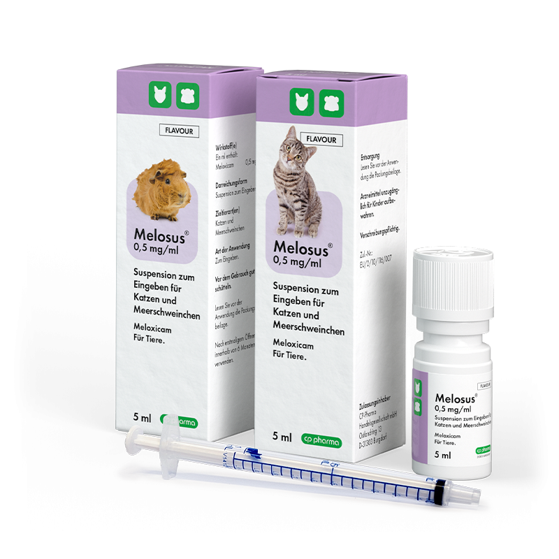 Melosus Katze Kaufen Ohne Rezept